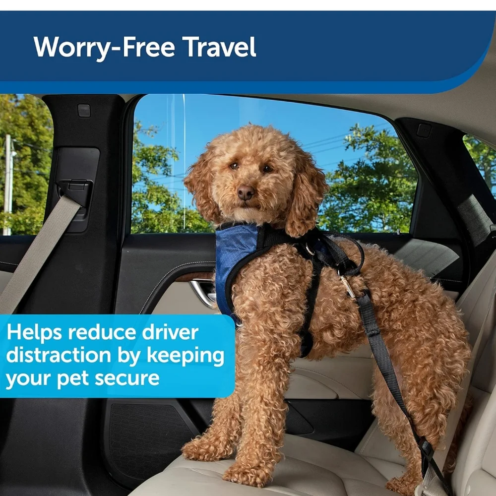 Happy Ride Seat Belt Tether from PetSafe
